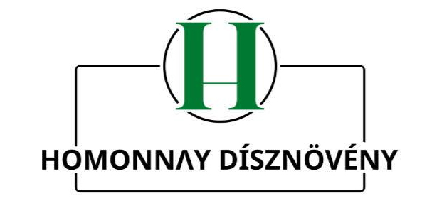 Homonnay Dísznövény ~ Aszaló